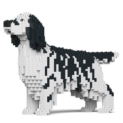 Chien Setter Anglais taches noires Taille standard | JEKCA | 14 ans et +