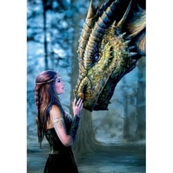 Puzzle il etait une fois 1000 pieces - collection dragon - educa - 17099