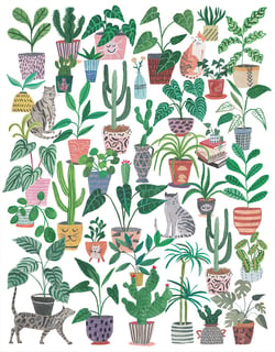 Chats et Plantes