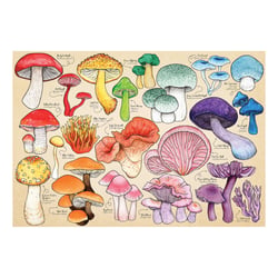 Puzzle 1000 pièces - La Manie Des Champignons - HOP - House of Puzzles