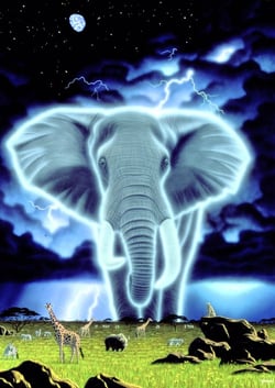 Puzzle 1000 pièces - Schim Schimmel - Spirit of Africa - Grafika