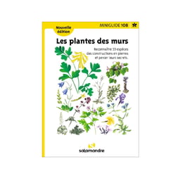 Miniguide 108 - Les plantes des murs