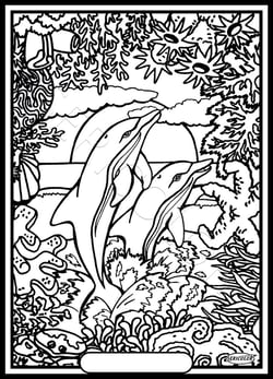 Tableau velours a colorier Dauphins leader Sericolor