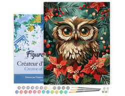 Peinture par Numéro Figured'Art avec Cadre - Chouette de Noël - Kit de Loisir Créatif DIY Numéro d'Art Complet - 40x50cm toile tendue sur châssis