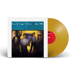 Vinyle musique Level 42 - Vinyle - 0805520240710 - Or - 0,225 kg