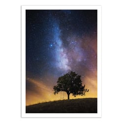 Affiche 30x40 cm -  The dreamer's seat - Lukas Ildza