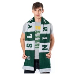 Harry Potter - Echarpe Slytherin - CID