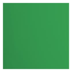 Papier cartonné Florence - Holly - 20 feuilles - 30,5 x 30,5 cm - 216 g/m²