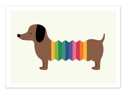 Affiche 50 x 70 cm -  Rainbow dog - Andy Westface
