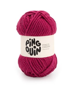 Fil à tricoter PINGO DREAM - 100GR - PINGOUIN Raspberry violet