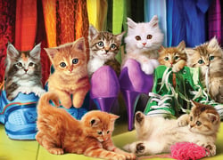 Puzzle 1000 pièces - Chatons - Eurographics