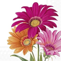 Lot de 4 serviettes en papier découpage collage 33 cm FLEUR GERBERA FA 121 XL