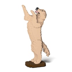 Chien Golden Retriever debout beige Taille standard | JEKCA | 14 ans et +