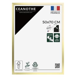 Cadre photo Precious doré 50x70 cm