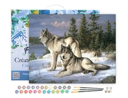 Peinture par Numéro Figured'Art avec Cadre - Couple de loups - Kit de Loisir Créatif DIY Numéro d'Art Complet - 40x50cm toile tendue sur châssis