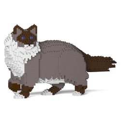 Chat Ragdoll gris foncé | JEKCA | 14 ans et +
