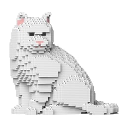 Chat British Shorthair blanc assis | JEKCA | 14 ans et +