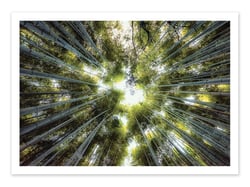 Affiche 30 x 40 cm - Into the grove - Manjik Pictures