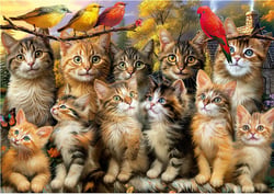 Puzzle 2D 500 pièces - Chatons et Oiseaux - EDUCA