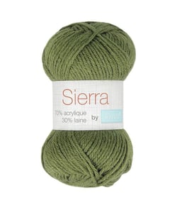 Pelote de laine à tricoter Tricot SIERRA - Distrifil 1352 Vert