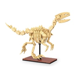 CaDA Fossile dinosaure Vélociraptor Bricks