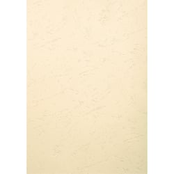 PAQUET DE 100 COUVERTURES GRAIN CUIR POUR RELIURE A3 - Ivoire - Papeteries de Clairefontaine