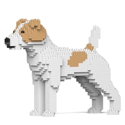 Chien Jack Russell Terrier taches beiges Taille standard | JEKCA | 14 ans et +
