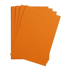 25 feuilles de papier - Clémentine - A4 - 270g - Lisse - Dessin, loisirs créatifs - Maya