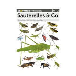 Miniguide 12 - Criquets et sauterelles
