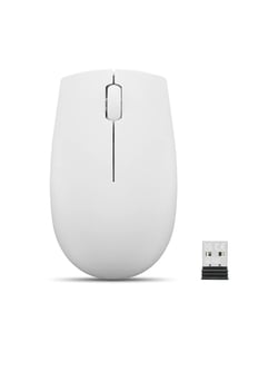 Souris - LENOVO 300 - Gris Nuage - Sans fil - 1000 dpi