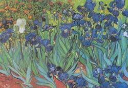 Puzzle 1000 pièces - Classiquecent Van Gogh - Saint-Remy - Les Iris, 1889 - Grafika