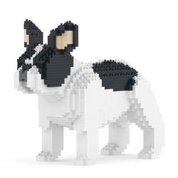 Chien Bouledogue Français oreilles dressées caille noir Taille standard | JEKCA | 14 ans et +