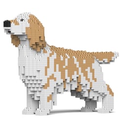 Chien Setter Anglais taches beiges Taille standard | JEKCA | 14 ans et +