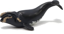 Figurine jeune baleine Franche - Papo