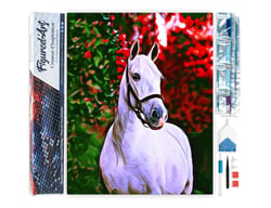 Diamond Painting Broderie Diamant Figured’Art 40x50cm toile entière roulée avec diamants carrés - Cheval et fond coloré