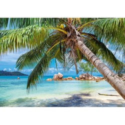 Puzzle 1000 Pièces Plage Tropicale - Alize Group