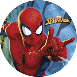 Disque Spider-Man Ø 20 cm - Comestible