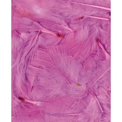 Plumes rose clair 12 cm - Artemio