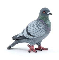 Figurine Pigeon - Papo