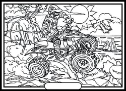 Tableau velours a colorier Quad Sericolor