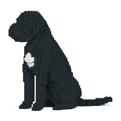 Chien Cane Corso Taille standard | JEKCA | 14 ans et +