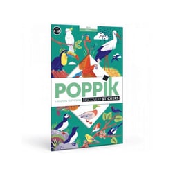 Poster découverte avec stickers Oiseaux