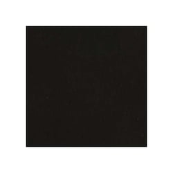 Feuille unie noire texturée CARDSTOCK 30,5cm x 30,5cm