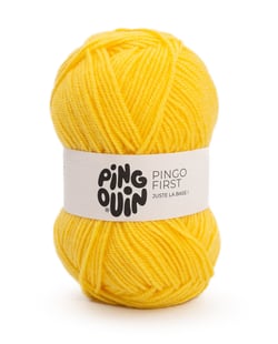 Pingo First