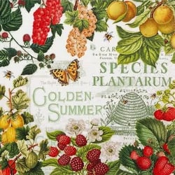 4 serviettes en papier découpage collage 33 cm FRUITS D ETE FEUILLAGE PAPILLON FR 105