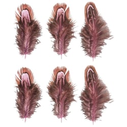 Plumes, rose oeillet / brun, 5 - 10cm, 6 pces