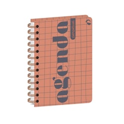 AGENDA 17 S PERPETUEL FR Eterny - 12x17 cm - Perpétuel
