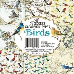24 papiers fantaisis assorties 15.2 x 15.2 cm Décorer BIRDS
