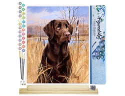 Peinture par Numéro Figured'Art - Chien Labrador - Kit de Loisir Créatif DIY Numéro d'Art Complet - 40x50cm toile roulée + châssis en bois à monter