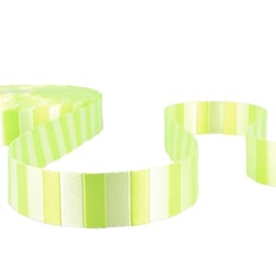 Film 20m Sangle bicolore Vert anis 25mm
